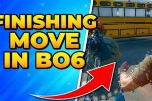 BO6 Finishing Moves: How To Execute & Dominate! | Best Final Touch: Elevate Your Projects with Professional Finishing