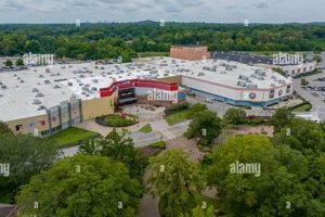 Your Guide to Finish Line Opry Mills Nashville TN Best Final Touch: Elevate Your Projects with Professional Finishing Your Guide to Finish Line Opry Mills Nashville TN | Best Final Touch: Elevate Your Projects with Professional Finishing