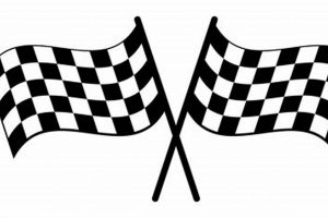 Race's End: Finish Line Flag Meaning & Victory Lane | Best Final Touch: Elevate Your Projects with Professional Finishing