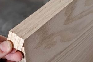 Pro Guide: How to Finish Plywood Edges Like a Pro DIYer | Best Final Touch: Elevate Your Projects with Professional Finishing