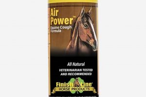 Reach Air Power Finish Line: Objectives & Strategy | Best Final Touch: Elevate Your Projects with Professional Finishing