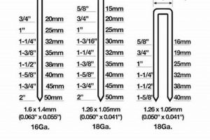 Buy the Best 16 Gauge Finishing Nails | Secure & Discreet Best Final Touch: Elevate Your Projects with Professional Finishing Buy the Best 16 Gauge Finishing Nails | Secure & Discreet | Best Final Touch: Elevate Your Projects with Professional Finishing