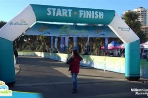 Clearwater Finish Line Guide: Events & More! Best Final Touch: Elevate Your Projects with Professional Finishing Clearwater Finish Line Guide: Events & More! | Best Final Touch: Elevate Your Projects with Professional Finishing