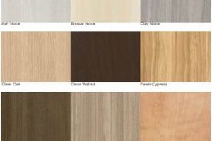 Enhance Steelcase Finishes: Options & Care Tips | Best Final Touch: Elevate Your Projects with Professional Finishing