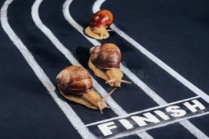 Enduring the Crawl: Achieve the Finish Line (Resilience) Best Final Touch: Elevate Your Projects with Professional Finishing Enduring the Crawl: Achieve the Finish Line (Resilience) | Best Final Touch: Elevate Your Projects with Professional Finishing
