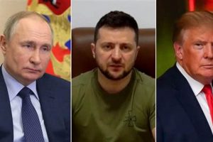 Why Zelensky Says: Finish The War as Soon As Possible? | Best Final Touch: Elevate Your Projects with Professional Finishing