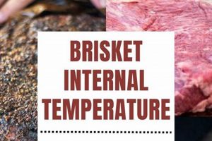 Perfect Finished Temp for Brisket: Your Guide to BBQ Success | Best Final Touch: Elevate Your Projects with Professional Finishing