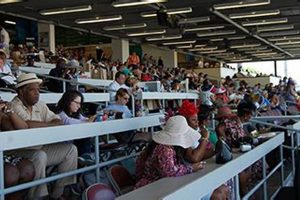 Your Finish Line Houston Guide: Stores & Deals Best Final Touch: Elevate Your Projects with Professional Finishing Your Finish Line Houston Guide: Stores & Deals | Best Final Touch: Elevate Your Projects with Professional Finishing