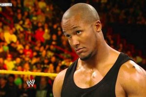 Unveiling the Byron Saxton Finisher: Myth or Commentary Magic? | Best Final Touch: Elevate Your Projects with Professional Finishing