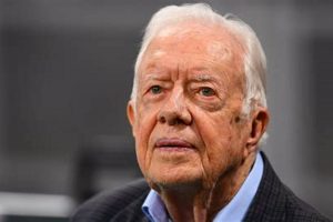 Triumphant Finish: 48 Year Old Rabbit's Job Done! Success Tips | Best Final Touch: Elevate Your Projects with Professional Finishing