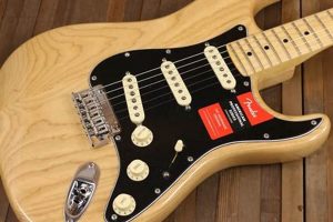 Bare Beauty: The Natural Finish Stratocaster Guide | Best Final Touch: Elevate Your Projects with Professional Finishing