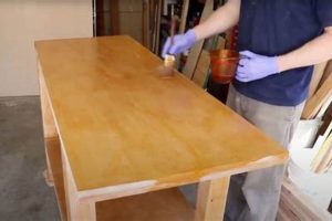 Top Finish for Woodworking Bench: [Buyer's Guide] | Best Final Touch: Elevate Your Projects with Professional Finishing