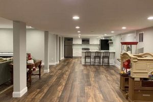 Dream Finished Basement with Kitchen: Ideas & More! | Best Final Touch: Elevate Your Projects with Professional Finishing