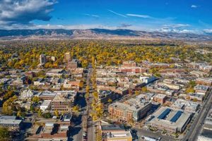 Fort Collins Finish Line: Your Running HQ! | Best Final Touch: Elevate Your Projects with Professional Finishing