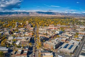 Your Source for Finish Line Fort Collins, CO Deals Today! | Best Final Touch: Elevate Your Projects with Professional Finishing