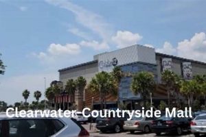 Your Finish Line Countryside Mall Clearwater Guide | Best Final Touch: Elevate Your Projects with Professional Finishing
