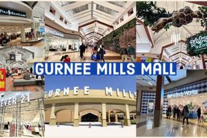 Your Finish Line Gurnee Mills Mall Guide & Deals! | Best Final Touch: Elevate Your Projects with Professional Finishing