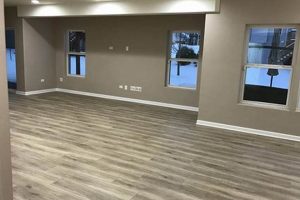 Budget Basement: Cheapest Way to Finish Your Basement Floor Now | Best Final Touch: Elevate Your Projects with Professional Finishing