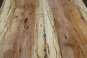 Pro Guide: Finishing Pecan Wood Beautifully for Lasting Results | Best Final Touch: Elevate Your Projects with Professional Finishing