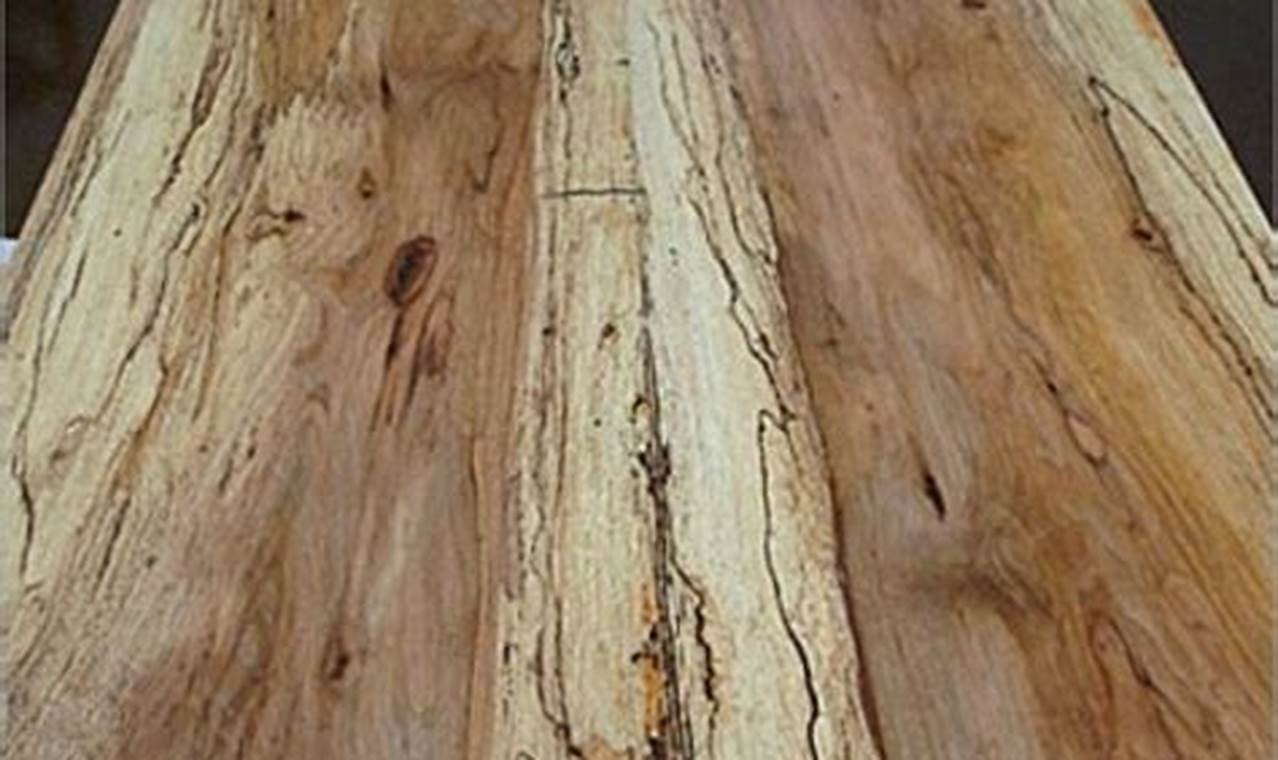 Pro Guide: Finishing Pecan Wood Beautifully for Lasting Results | Best Final Touch: Elevate Your Projects with Professional Finishing