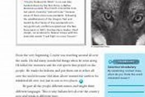 Tips: Coyote Finishes His Work Fast [Guide] | Best Final Touch: Elevate Your Projects with Professional Finishing