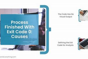 Understanding: Process Finished with Exit Code 0 (Success!) | Best Final Touch: Elevate Your Projects with Professional Finishing