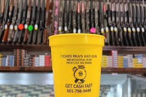 Final Check: Finish Line Pawn Strategy for Project Success | Best Final Touch: Elevate Your Projects with Professional Finishing