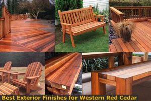 Top Cedar Protection: Best Exterior Finish for Long Life | Best Final Touch: Elevate Your Projects with Professional Finishing