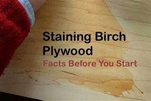 Pro Finish: Tips for Beautiful Birch Plywood Projects! | Best Final Touch: Elevate Your Projects with Professional Finishing