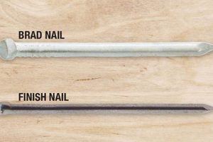 Brad vs Finish Nail Guide: Choose the Right Nail! Best Final Touch: Elevate Your Projects with Professional Finishing Brad vs Finish Nail Guide: Choose the Right Nail! | Best Final Touch: Elevate Your Projects with Professional Finishing