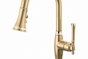 Premium Brizo Luxe Gold Finish: Style & Shine | Best Final Touch: Elevate Your Projects with Professional Finishing