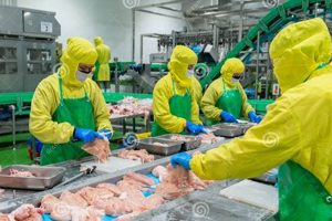 After Raw Chicken Prep: What Food Workers MUST Do | Best Final Touch: Elevate Your Projects with Professional Finishing