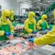 After Raw Chicken Prep: What Food Workers MUST Do | Best Final Touch: Elevate Your Projects with Professional Finishing