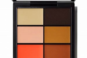Achieve Flawless Skin Studio Finish Skin Corrector Tips | Best Final Touch: Elevate Your Projects with Professional Finishing