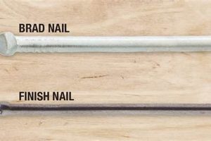 Best Finishing Nails for Baseboard: Installation Guide & Tips | Best Final Touch: Elevate Your Projects with Professional Finishing