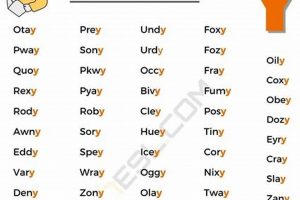 Understanding Words Finishing with Y: A Handy Guide | Best Final Touch: Elevate Your Projects with Professional Finishing