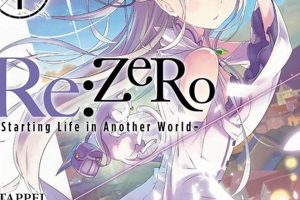 Re:Zero's Ending: Is Re Zero Light Novel Finished Yet? | Best Final Touch: Elevate Your Projects with Professional Finishing