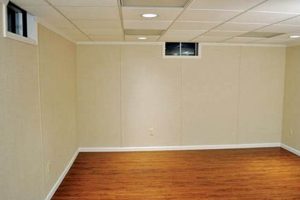 Affordable Basement Finishing Panels: Your Basement Solution! | Best Final Touch: Elevate Your Projects with Professional Finishing