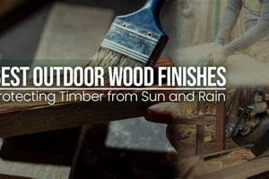 Best Outdoor Wood Finishes: Protect & Beautify! | Best Final Touch: Elevate Your Projects with Professional Finishing
