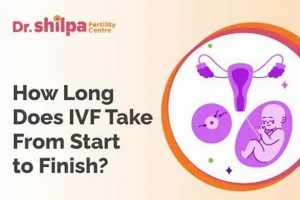 IVF Timeline: How Long Does IVF Take Start to Finish Guide? | Best Final Touch: Elevate Your Projects with Professional Finishing