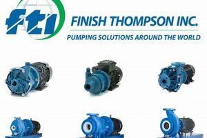 Best Coating: Finish Thompson Pumps - [Longevity Tips] | Best Final Touch: Elevate Your Projects with Professional Finishing