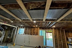 Top-Rated Baltimore Basement Finishing Pros Near You | Best Final Touch: Elevate Your Projects with Professional Finishing