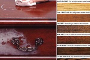 Howard Restore Finish: Quick Wood Renewal Tips! | Best Final Touch: Elevate Your Projects with Professional Finishing