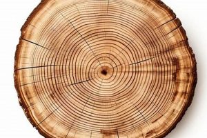 Rustic Charms: Finished Wood Slice Decor & More | Best Final Touch: Elevate Your Projects with Professional Finishing