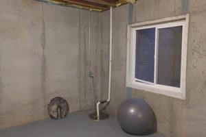 Basement Bliss: How to Hide a Sump Pump &amp; More! | Best Final Touch: Elevate Your Projects with Professional Finishing