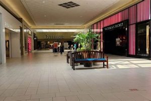 Your Finish Line Belden Village Mall Store: Find Gear Near You! | Best Final Touch: Elevate Your Projects with Professional Finishing