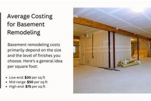 Basement Finishing: Cost to Finish 1000 Sq Ft Basement - Guide | Best Final Touch: Elevate Your Projects with Professional Finishing