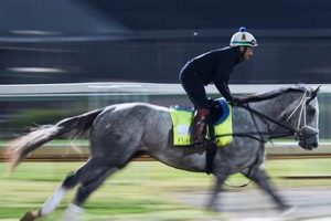 2024 Kentucky Derby Full Order of Finish: See Every Horse's Result! | Best Final Touch: Elevate Your Projects with Professional Finishing