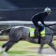 2024 Kentucky Derby Full Order of Finish: See Every Horse's Result! | Best Final Touch: Elevate Your Projects with Professional Finishing