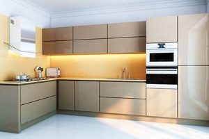 Why Choose Lacquer Finish Cabinets: Durability & Beauty | Best Final Touch: Elevate Your Projects with Professional Finishing